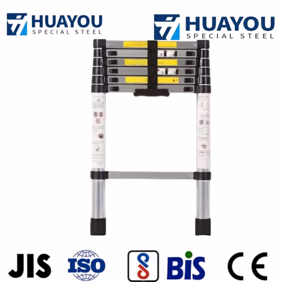 Échelle ronde en acier pour échafaudage avec crochet